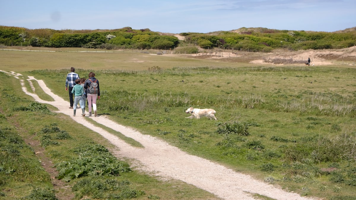 Dünen von Katwijk